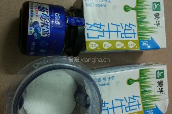 蓝莓酸奶的做法图解1
