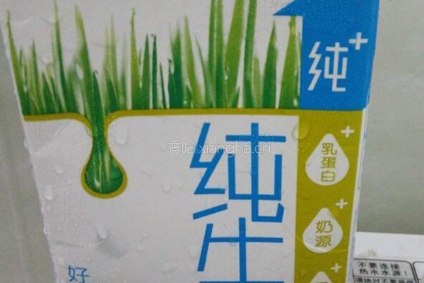 酸奶的做法图解1