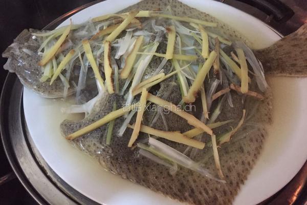清蒸多宝鱼的做法图解5