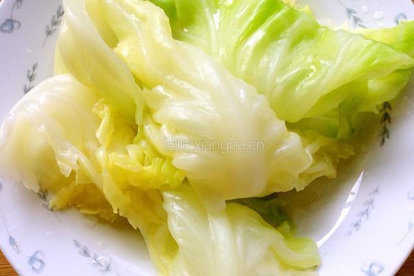 卷心菜肉糜卷的做法图解4