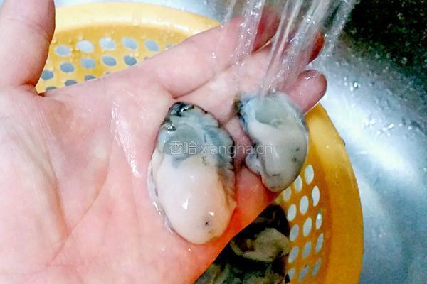 牡蛎烙蛋饼的做法图解2