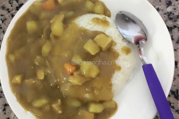 咖喱鸡肉饭的做法图解10