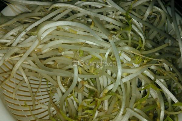韭菜绿豆芽炒猪红的做法图解1
