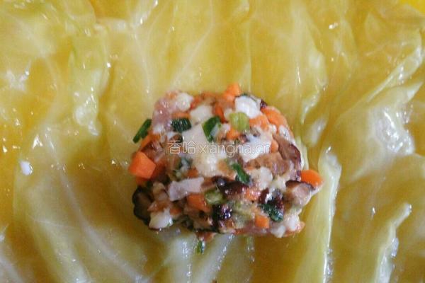 卷心菜包肉肉的做法图解5