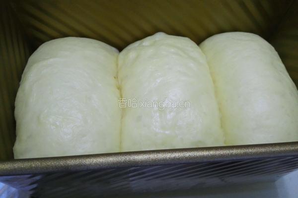 玫瑰酱牛奶土司的做法图解10