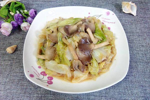 平菇炒卷心菜的做法图解8