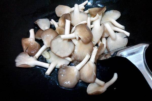平菇炒卷心菜的做法图解5