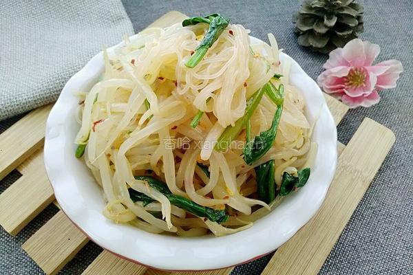 凉拌绿豆芽菠菜粉丝