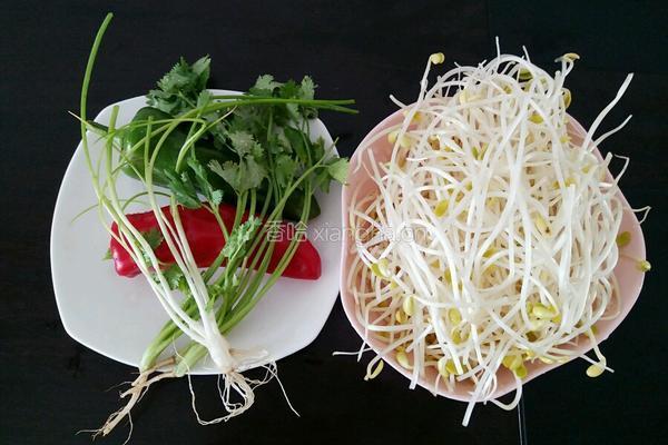 凉拌绿豆芽菜的做法图解1