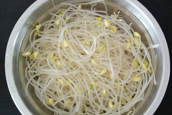 凉拌绿豆芽菜的做法图解3