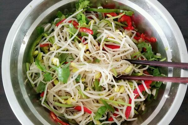凉拌绿豆芽菜的做法图解8