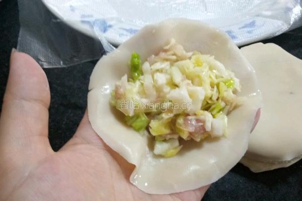 卷心菜猪肉饺子的做法图解6