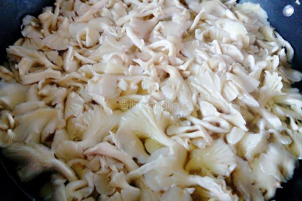 榆黄菇猪肉饺子的做法图解3