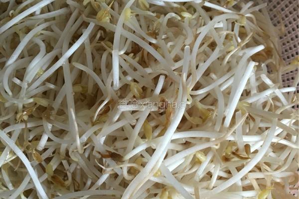 绿豆芽炒辣椒的做法图解2