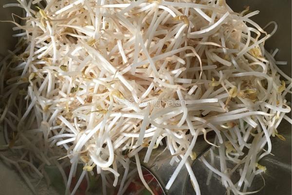 绿豆芽炒辣椒的做法图解5