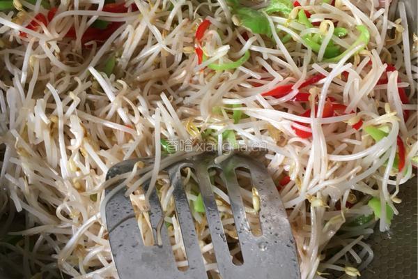 绿豆芽炒辣椒的做法图解6