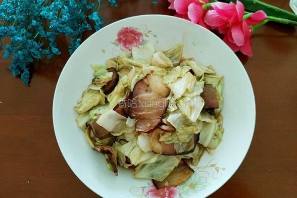卷心菜炒腊肉的做法图解6