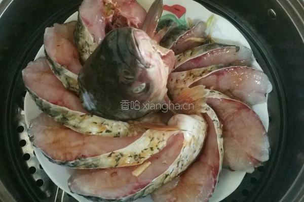 孔雀开屏的做法图解7