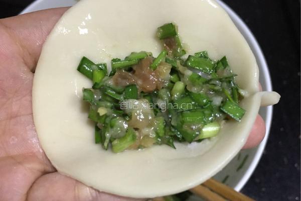 韭菜猪肉饺的做法图解5