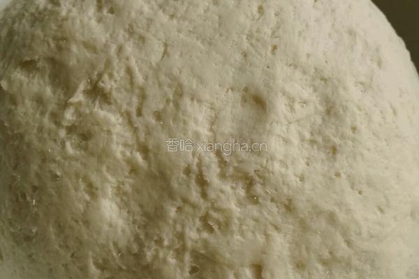 猪肉卷心菜包子的做法图解1