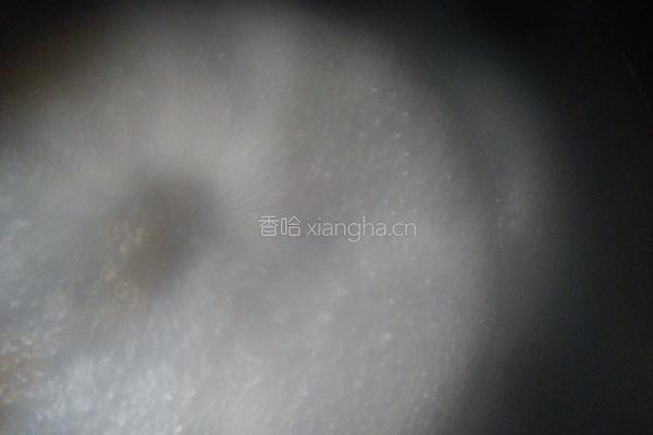 凉拌苦瓜的做法图解3