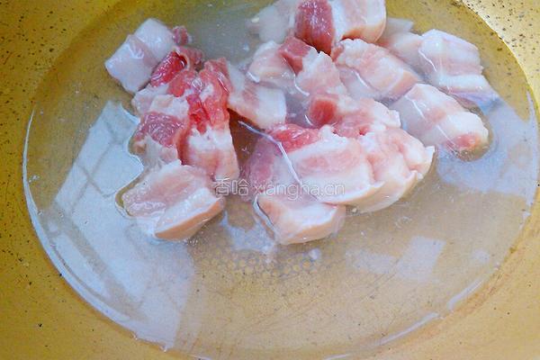 红烧肉烧白萝卜的做法图解5
