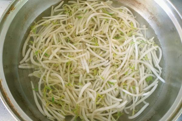 凉拌绿豆芽的做法图解2