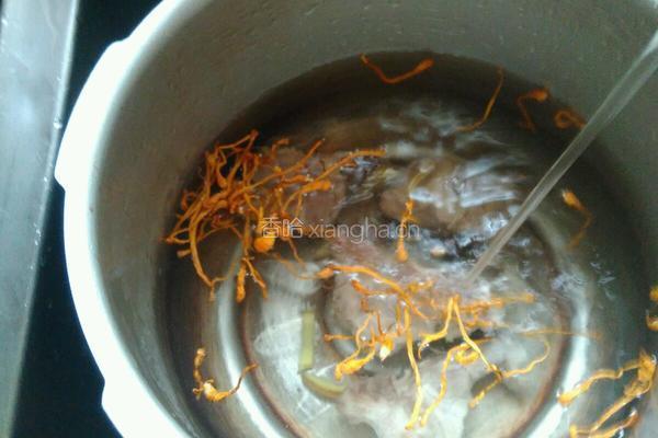 胡萝卜玉米虫草花肉骨头汤的做法图解3