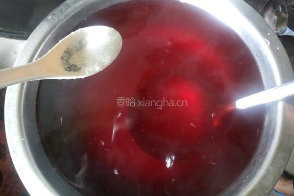 天然杨梅汁的做法图解4