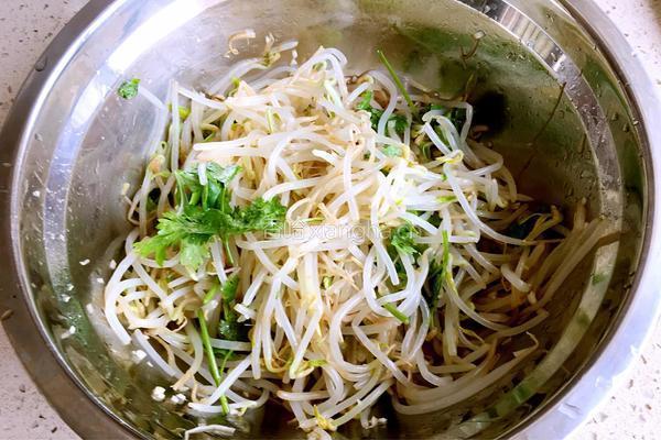凉拌绿豆芽的做法图解5