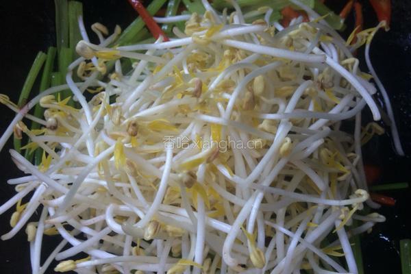芹菜炒绿豆芽的做法图解8