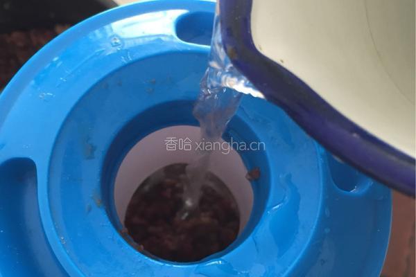 红豆冰棍的做法图解3