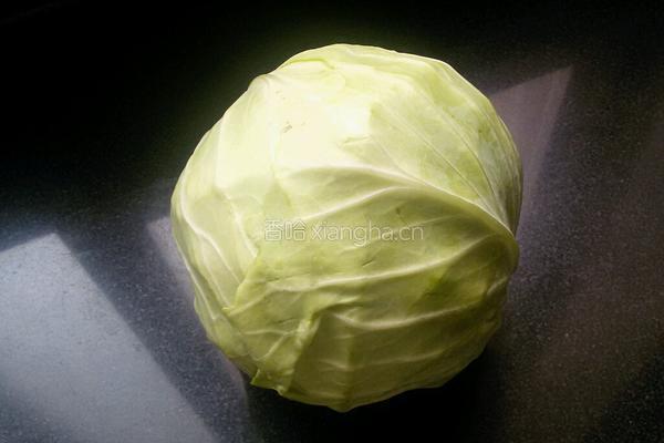 凉拌卷心菜的做法图解1