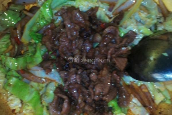 卷心菜洋葱炒肉的做法图解8