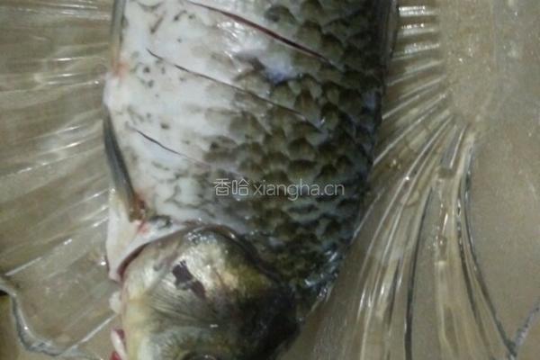 平菇鲫鱼汤的做法图解1