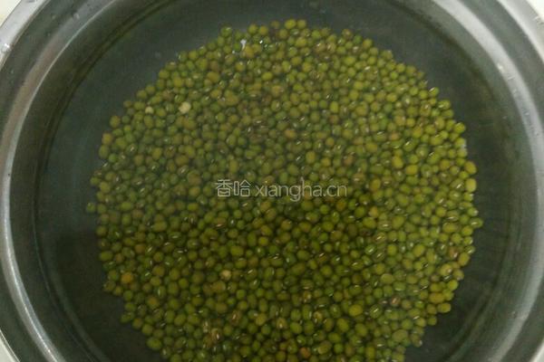 自制豆芽的做法图解1