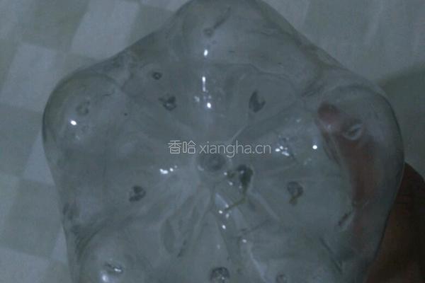 自制豆芽的做法图解3