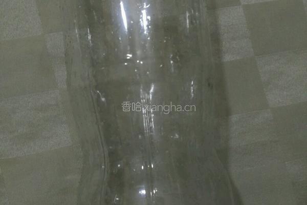 自制豆芽的做法图解4