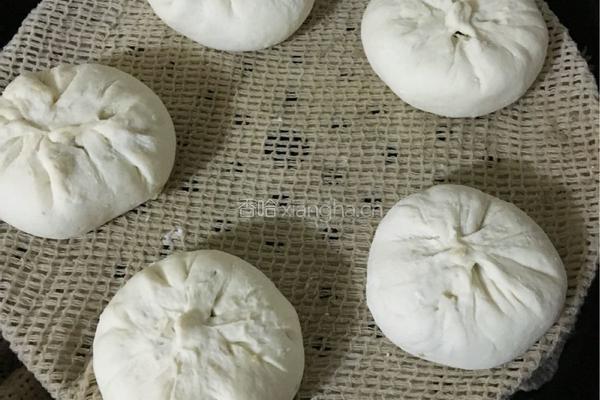 肉包（煎包）的做法图解17