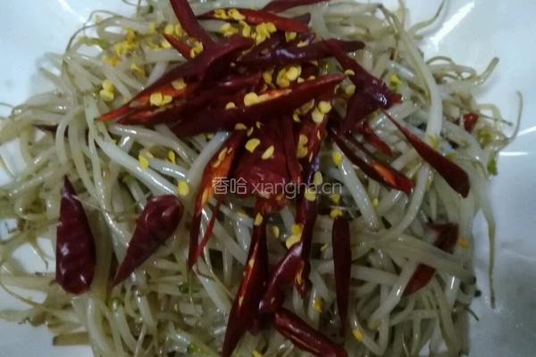 酸辣芽菜的做法图解5