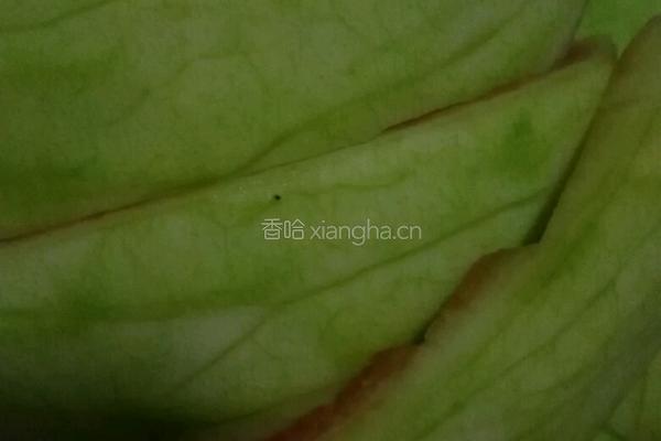 凉拌西瓜皮的做法图解2