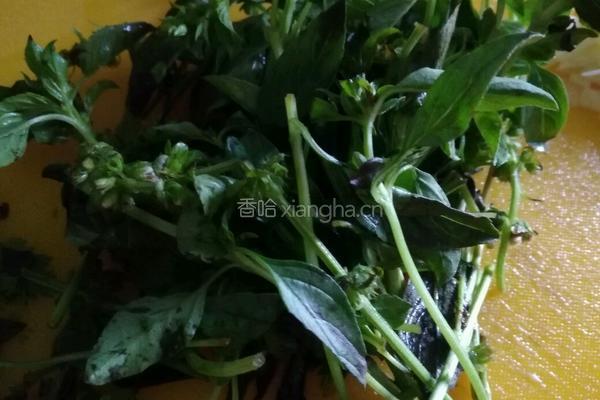 金不换炒花甲的做法图解2