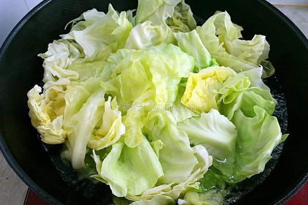 卷心菜素包子的做法图解6