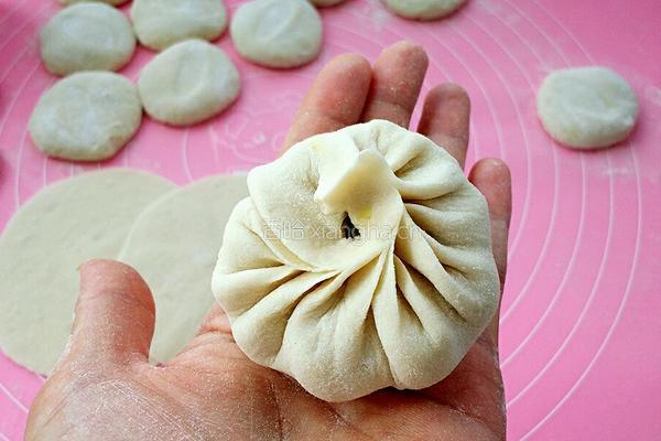 卷心菜素包子的做法图解15