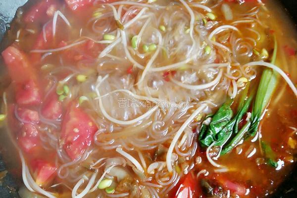 绿豆芽酸辣粉丝的做法图解9