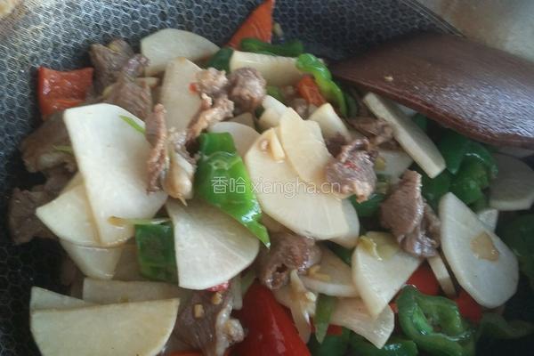 白萝卜片炒羊肉的做法图解11