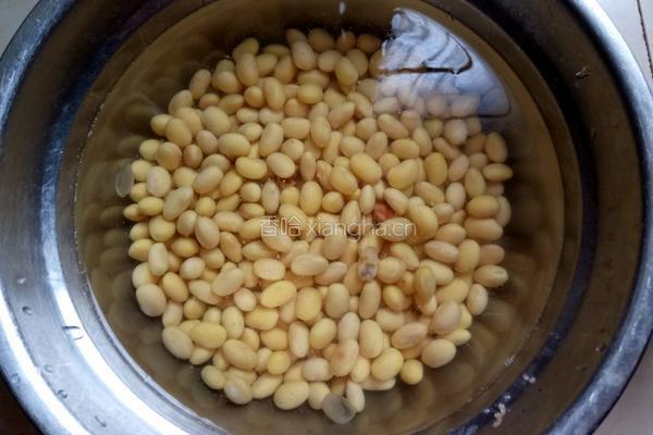 纯豆浆（黄豆）的做法图解3