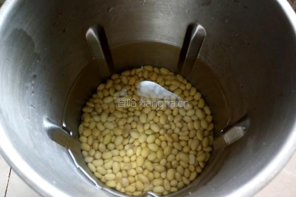 纯豆浆（黄豆）的做法图解4