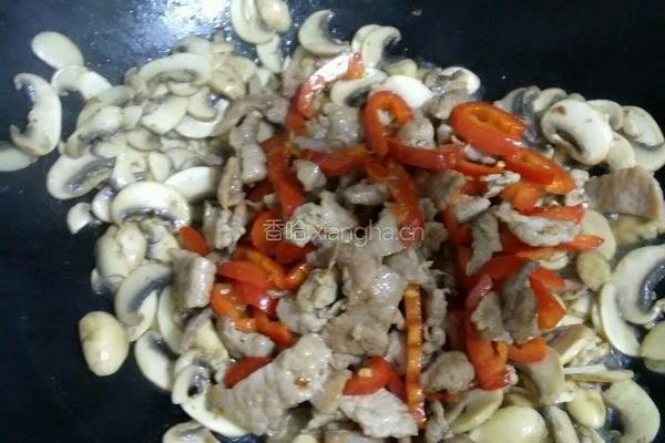 肉片炒口蘑的做法图解8