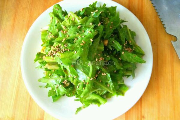 麻酱苦菊的做法图解5